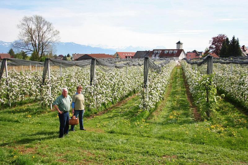 Ferienhof Schoengarten Lindau  Buitenkant foto